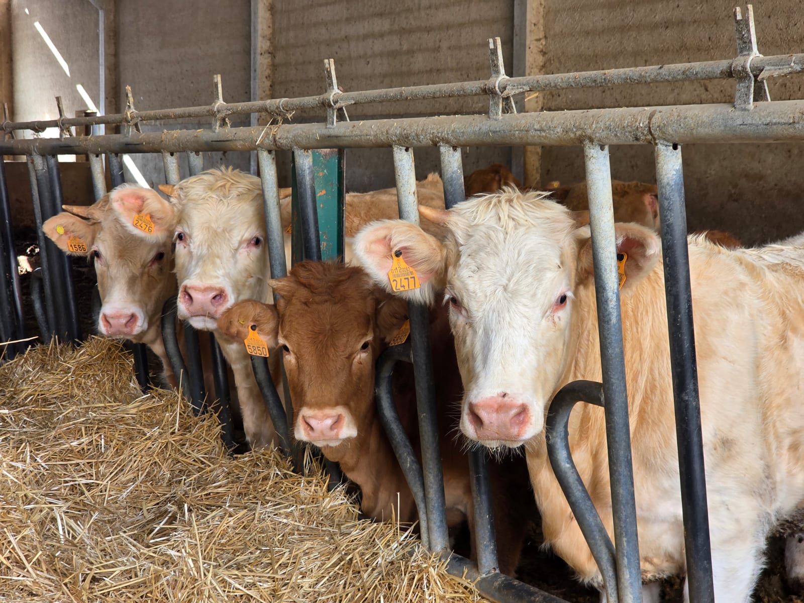 Wyjazd studyjny do Hiszpanii – dzień 3