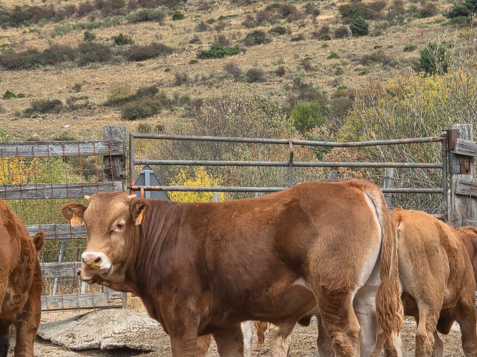 Wyjazd studyjny do Hiszpanii – dzień 5