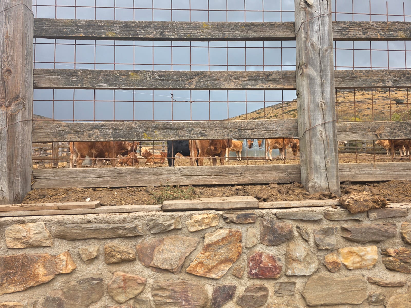 Wyjazd studyjny do Hiszpanii – dzień 4